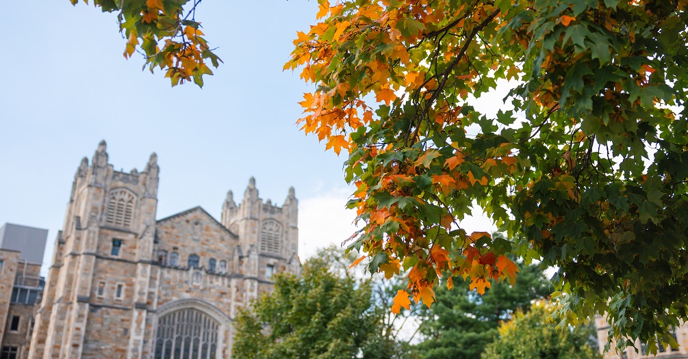 Fall foliage with orange and green leaves frames a Gothic stone building on the University of Michigan campus in Ann Arbor