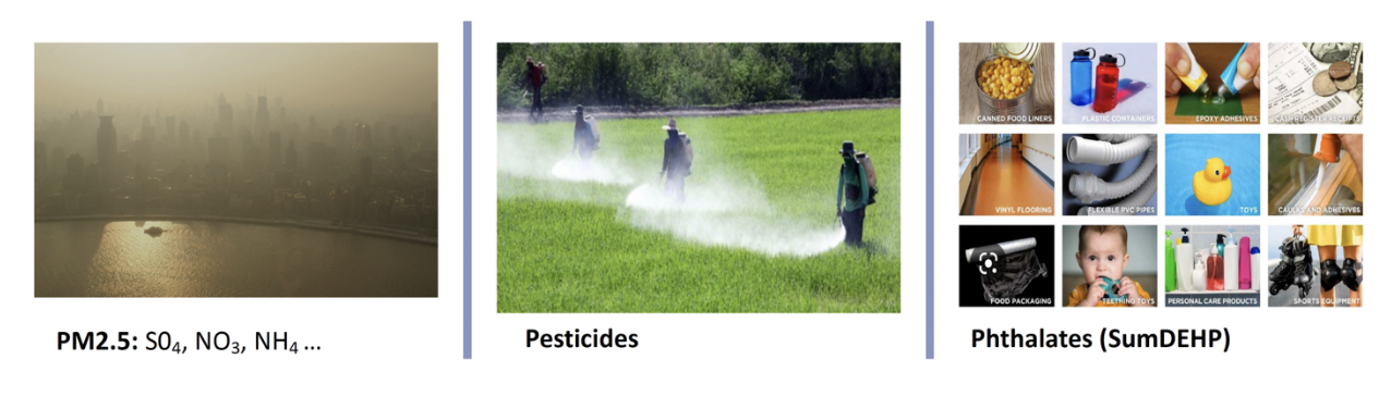 statistical learning