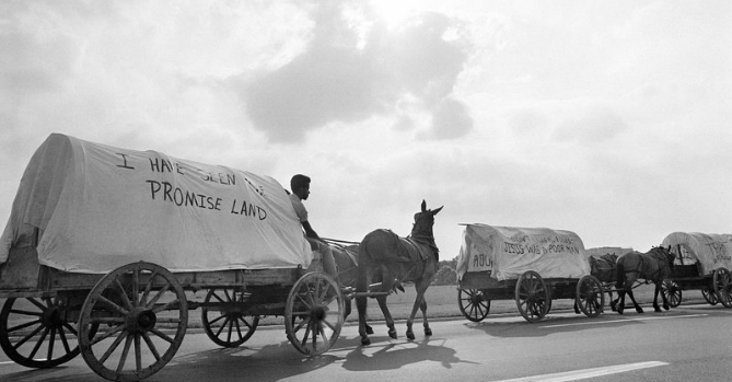 Mule Train