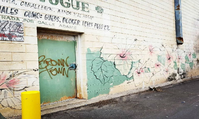 Floral mural in alleyway in Brownsville, Texas. Photo by Cindy Le.