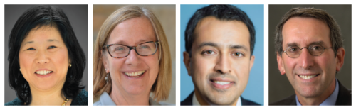 Debbie Chang, Paula Lantz, Anand Parekh, Daniel Wolfson