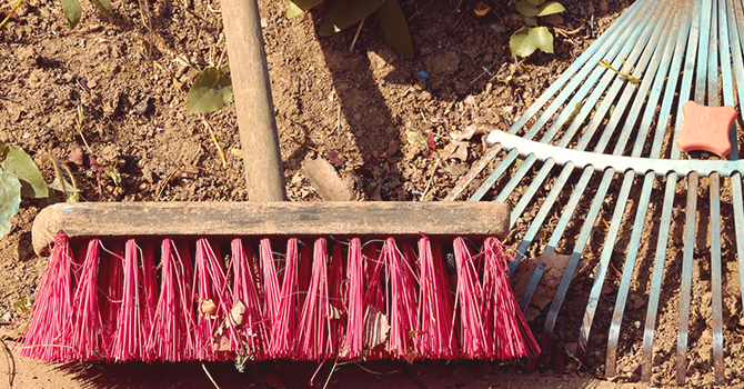 broom and rake sitting in a field of dirt