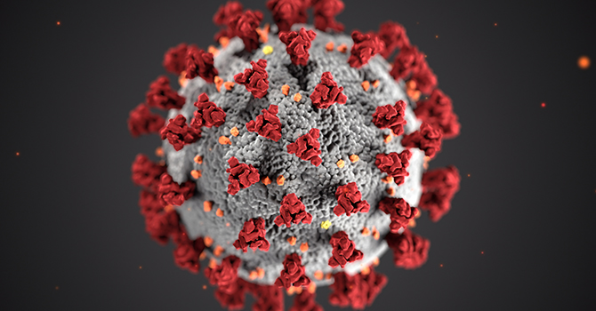 Coronavirus illustration