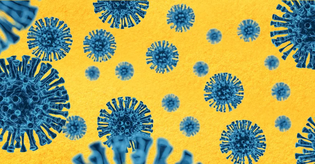 Illustration of coronaviruses.