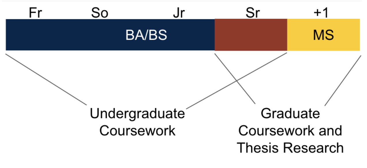 This graphical representation of the AMD path is explained in text below the graphic