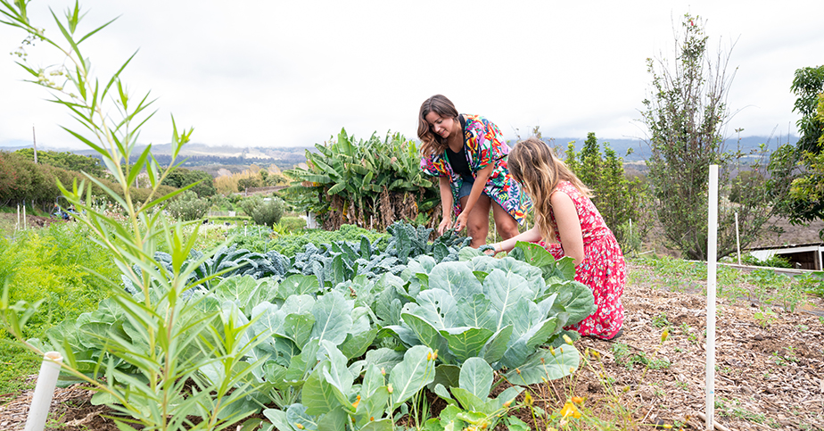 alumni working on farm